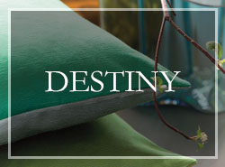 destiny-kat